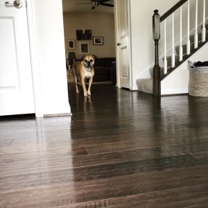 new home dark hardwood floors